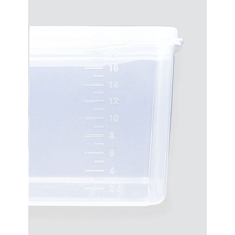 Shinki Gosei Dragonfly Natural Jumbo Seal Storage Container, Antibacterial, Deep,