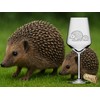 eXODA Weinglas Gravur Igel mit Igelkind - spülmaschinenfest niedliche Tiere