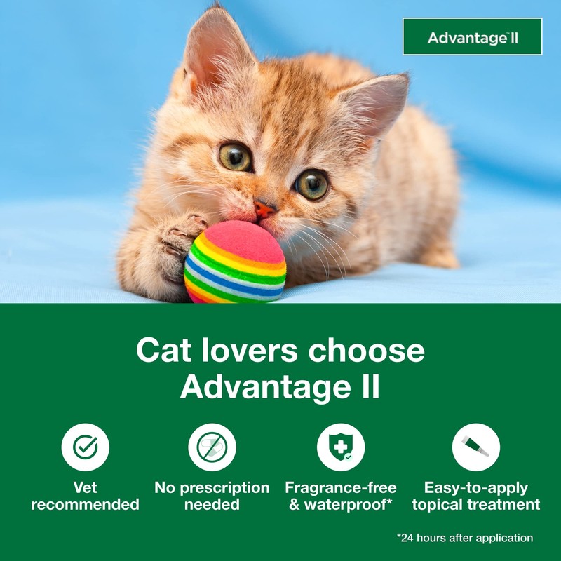 Advantage II Kitten Vet-Recommended Flea Treatment & Prevention | Cats