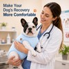 Paipeper French Bulldog Recovery Suit, Professional Dog Surgery Suit for