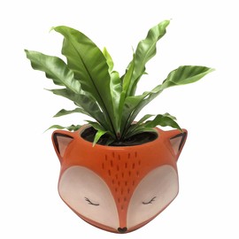 Streamline Imagined Ceramic Orange Fox Planter