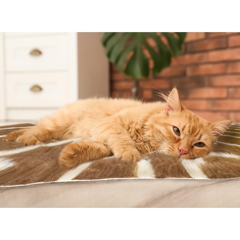 Van Ness Pets Vetbed Dog Bed, Crate Mat, Cat Pad,