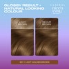 Clairol Nice'n Easy Tone+Gloss Semi Permanent Hair Dye - 637/76