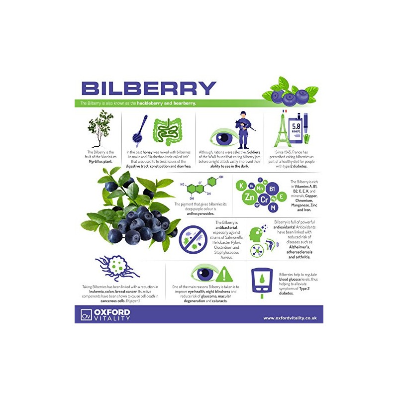 Bilberry Supplements | Extra Strength 4000mg Tablets for Eye Health