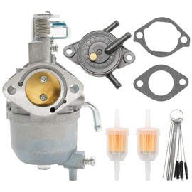Anxingo 808656 Carburetor Carb Kit with Fuel Pump, Replacement for EZGO RXV 2008-2014 Valor 2010-2014, Replaces 602061 72873G01