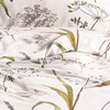 Irisette Bed Linen Fine Flannelette Natural Size 155 x 220
