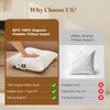 BPC 12x20 Down Feather Lumbar Pillow Inserts Set of 2,