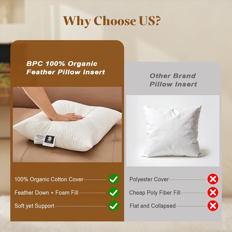 BPC 12x20 Down Feather Lumbar Pillow Inserts Set of 2,