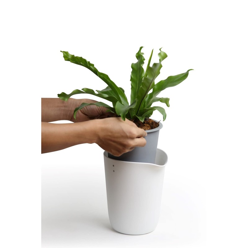 Qualy Oasis QL10307-WH-GY Round Flower Pot with Self-Watering System in