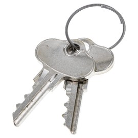 CUB CADET 925-06956 Blank Ignition Key Set of 2 Challenger 400LX Utility Vehicle