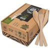 2ZEBRAZ Bamboo Cutlery Set – 100 Disposable Utensils (50 Forks,