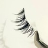 Natural False Eyelashes, 5 Pairs, Popular, Transparent Axis, Soft Core,
