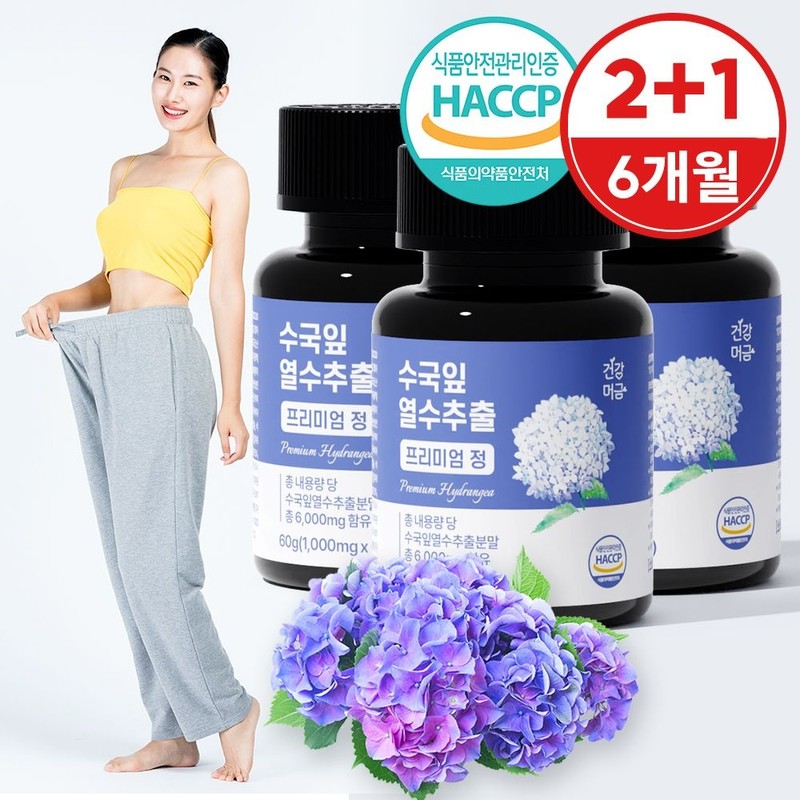 건강머금 수국잎 열수 추출물 수국 국내산 프리미엄 정 2+1통(6개월분)(56%할인)