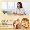 Remuuly 36 Pcs Year Service Award Star Lapel Pins Year