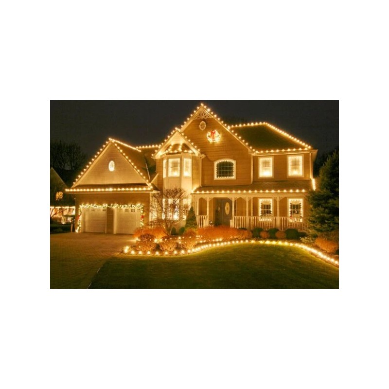 NOVELTY LIGHTS 25 PCS C9 7 WATT LONG LIFE BULBS