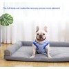 Sychien Dog Recovery Suit Surgery Shirt for Large Female Male,Blue