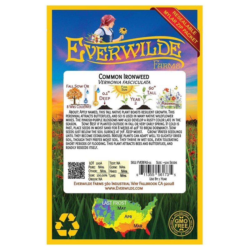 Everwilde Farms - 500 Common Ironweed Native Wildflower Seeds -