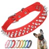Spiked Dog Collar, Mushrooms Rivet Spike Anti-Bite Studded Protective Pet