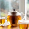 Bodum 1801-16 ASSAM Tea Press , Permanent Filter, Glass Handle,