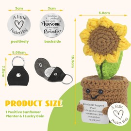 Zernblend Positive Sunflowers Flower Pot Plush and Encouragement Lucky Charm Coin, Get Well Soon Gifts, Get Soon, Sunflower, Positive Gifts