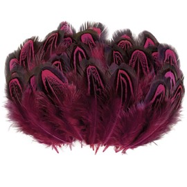 100pcs Dyed Pheasant Feathers Craft Natural Plumage for Jewelry Millinery DIY Sewing Crafts Costumes Wedding Party Decoration 2.3-3.9 Inch (Burgundy)