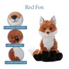 The Petting Zoo Fox Stuffed Animal, Gifts for Kids, Wild