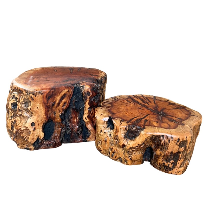 THY COLLECTIBLES Natural Tree Trunk Stump Stool with Live Edge