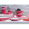 Riess, 0044-077, Egg pan 20, Country - PÜNKTCHEN Rot, Colour