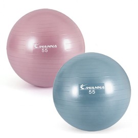 Iwana Anti-Burst Pastel Gym Ball 55cm Dusty Blue