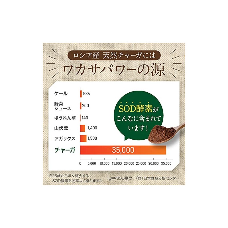 チャーガ100% 無添加 ロシア産 チャーガ サプリ 天然チャーガ100% ロシア霊芝 カバノアナタケ 白樺の木 AILK(アイルク)チャーガクイーン