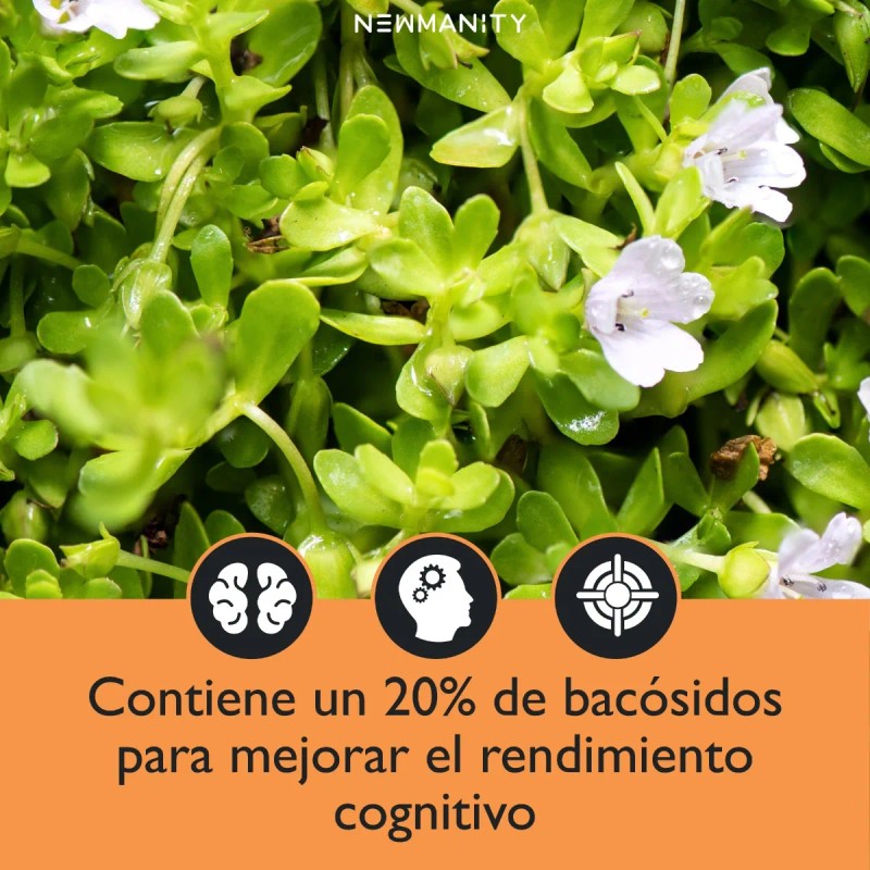 Suplemento en cpsula Newmanity MineralesVitaminas de Adaptogens Bacopa Monnieri x