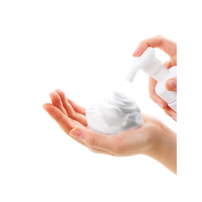 Tofu no Moritaya Soy Milk Foam Face Cleansing Natural Life,