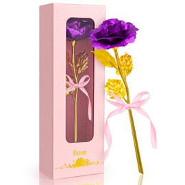 Asddage Valentines Day Gifts for Her, Rose Flowers Gifts for Women, Anniversary Birthday Mother's Day Christmas Day Gifts for Wife Mom Girlfriend Grandma Girls (Purple)