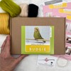 Bergin & Bath Needle Felting kit Budgie. Make a Green