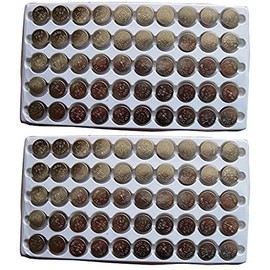 New 100PCS AG10 LR1130 389 LR54 Button Cell Batteries Tray
