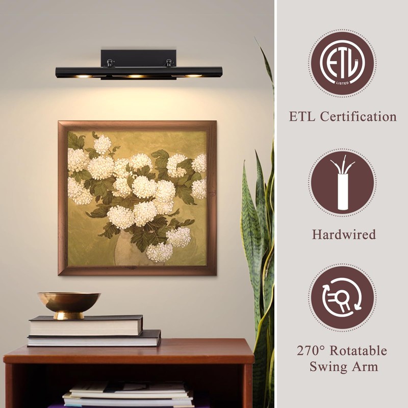 BELS Picture Lights for Wall Hardwired, 24" Black Wall Lights