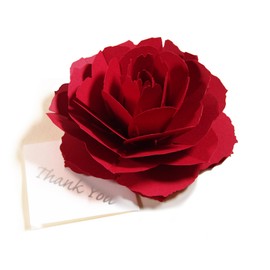 (Red-Rose) Blooming Flower Thank You Cards for Birthday Cards, Weddings, Anniversaries, Entrance, Graduation, Mother's Day, Celebrations, Christmas Cards, Greeting Cards