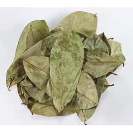 NY Spice Shop Soursop Leaf - 4 Ounce Dried Sour Sop Graviola Leaves - Soursop Graviola Leaves for Tea - Fresh Soursop Leaves - Whole Dried Guanabana Leaves