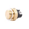 RIDEX 1103T0008 Temperature Switch Radiator Fan Temperature Switch