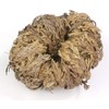 Incense Garden Rose of Jericho Flower The Resurrection Plant (1