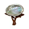 NESSASTORES 20 Abalone Shells 2.5-3.5 Inches | Natural Abalone Shell