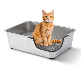 Stainless Steel Cat Litter Box, 17.5" L x 13.6" W x 6" H