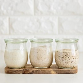 Swedish Rye Sourdough Starter Culture Bread Yeast