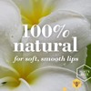 Burt's Bees 100% Natural Moisturizing Lip Balm, Cucumber Mint -