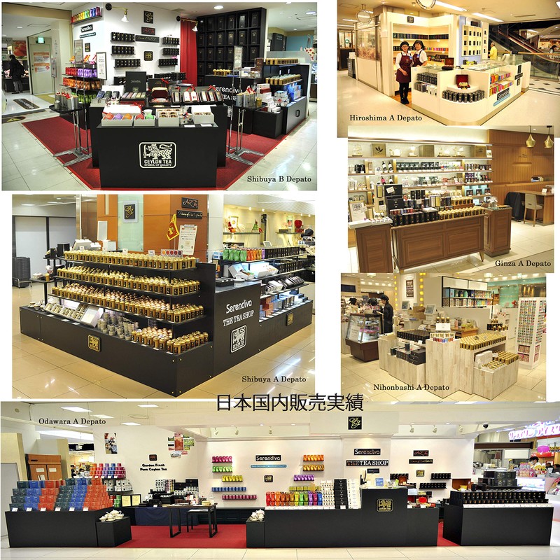 Premium Mint Green Tea Triangular Tea / Premium Mint Green