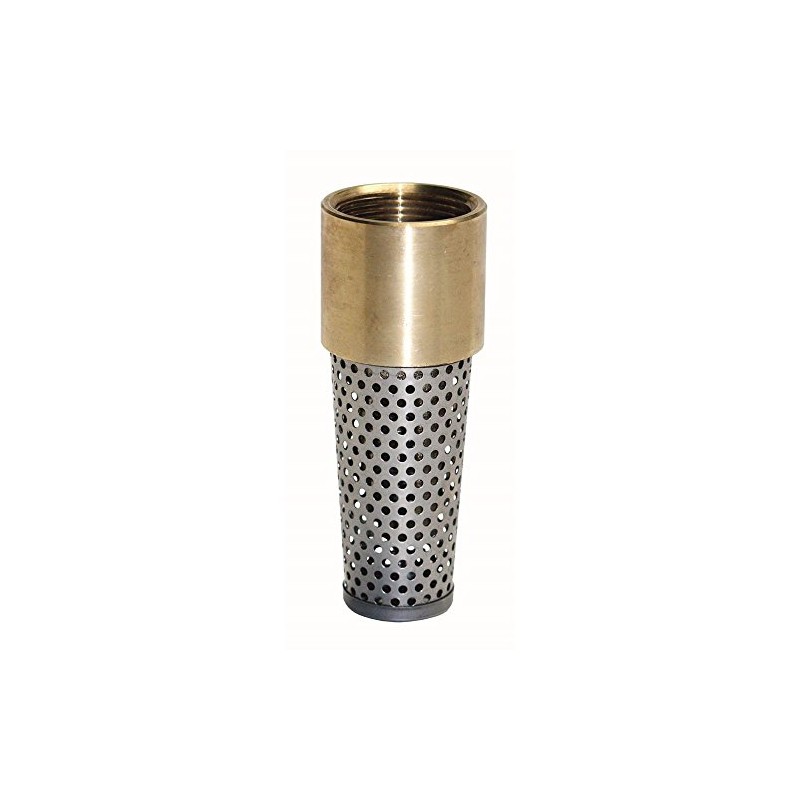 Everbilt 1-1/4 in. Brass Foot Valve