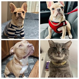 Dog Chain Collar with Bling，Sparkly Diamond Metal Cuban Link Dog Collars,Rhinestone Rose Gold Dog Necklace Collar for Small Medium Large Pet Dogs Cats，8 Inch