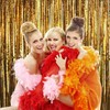 Newhomestyle 2 Pack Metallic Tinsel Foil Curtains Streamer, 3 * 8