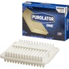 Purolator A25655 PurolatorONE Filtro de Aire Avanzado para Motor