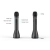 TAKSTAR 2-in-1 Bluetooth Wireless Microphone & Voice Amplifier, Portable Handheld